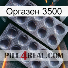 Оргазен 3500 31